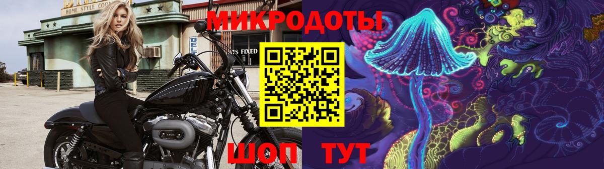 Псилоцибиновые грибы Psilocybe  Вход с VPN  Псилоцибиновые грибы Cubensis  Ишимбай 